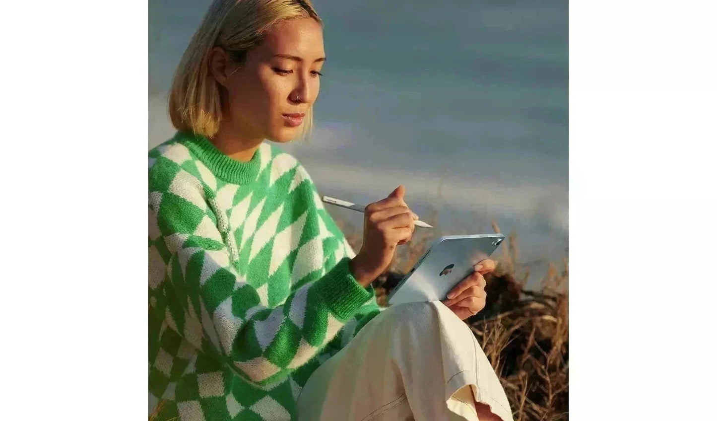 Apple iPad mini (2024) – 8.3" Wi-Fi Tablet, 512GB Storage, Blue (Excellent Refurbished) Apple