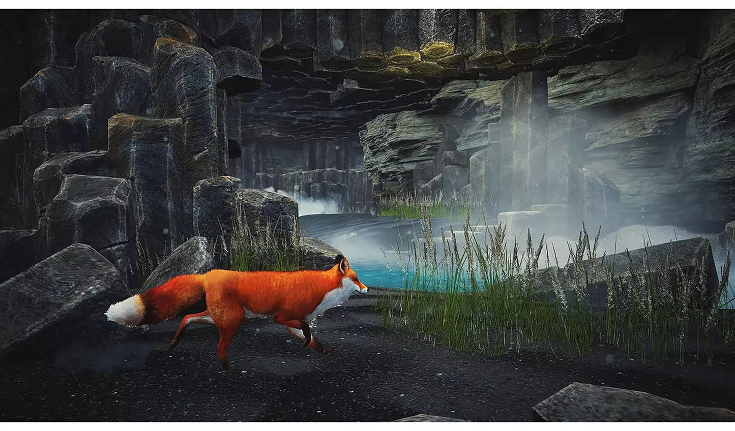 Spirit of the North: Enhanced Edition – PS5 | Physical Disc | 7+ (New) PS5