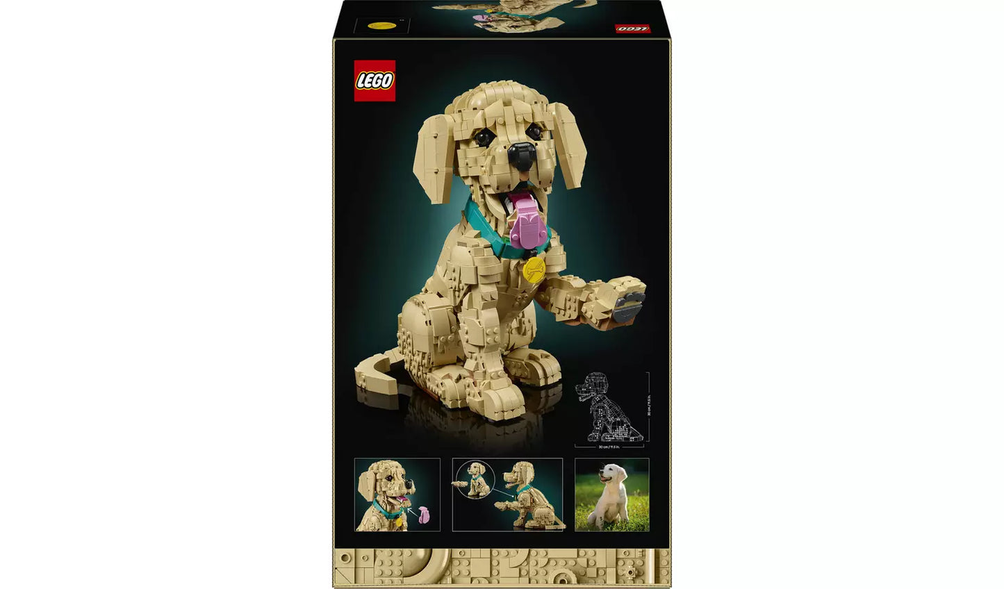 LEGO Icons Golden Retriever Puppy Figure 11384 | Ages 18+ | New LEGO
