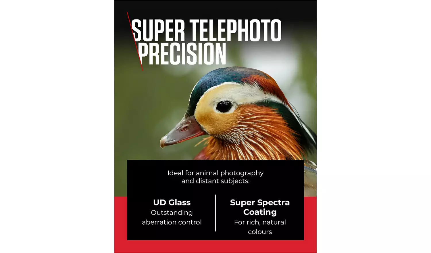 Canon RF 100-400mm f/5.6-8 IS USM Lens – Telephoto Zoom for Wildlife & Sports (New) Canon