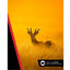 Canon RF 100-400mm f/5.6-8 IS USM Lens – Telephoto Zoom for Wildlife & Sports (New) Canon