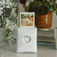 Fujifilm instax SQUARE Link Smartphone Printer – White (New) Fujifilm