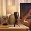 RØDE NT-USB+ Professional USB Microphone – Black (New) RØDE