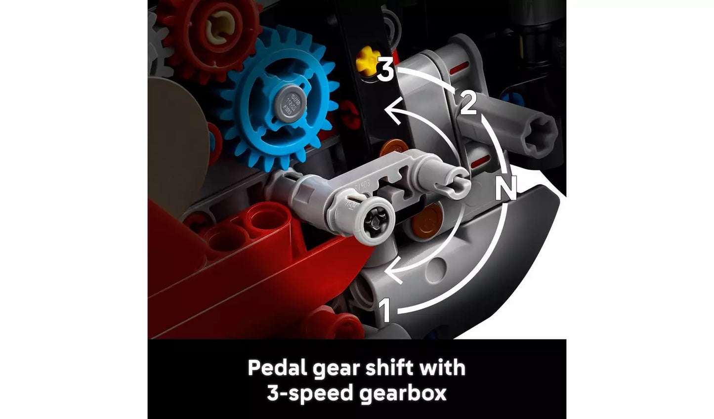 LEGO Technic Ducati Panigale V4 S Motorcycle Model Set | Ages 18+ | Model 42202 | NEW LEGO