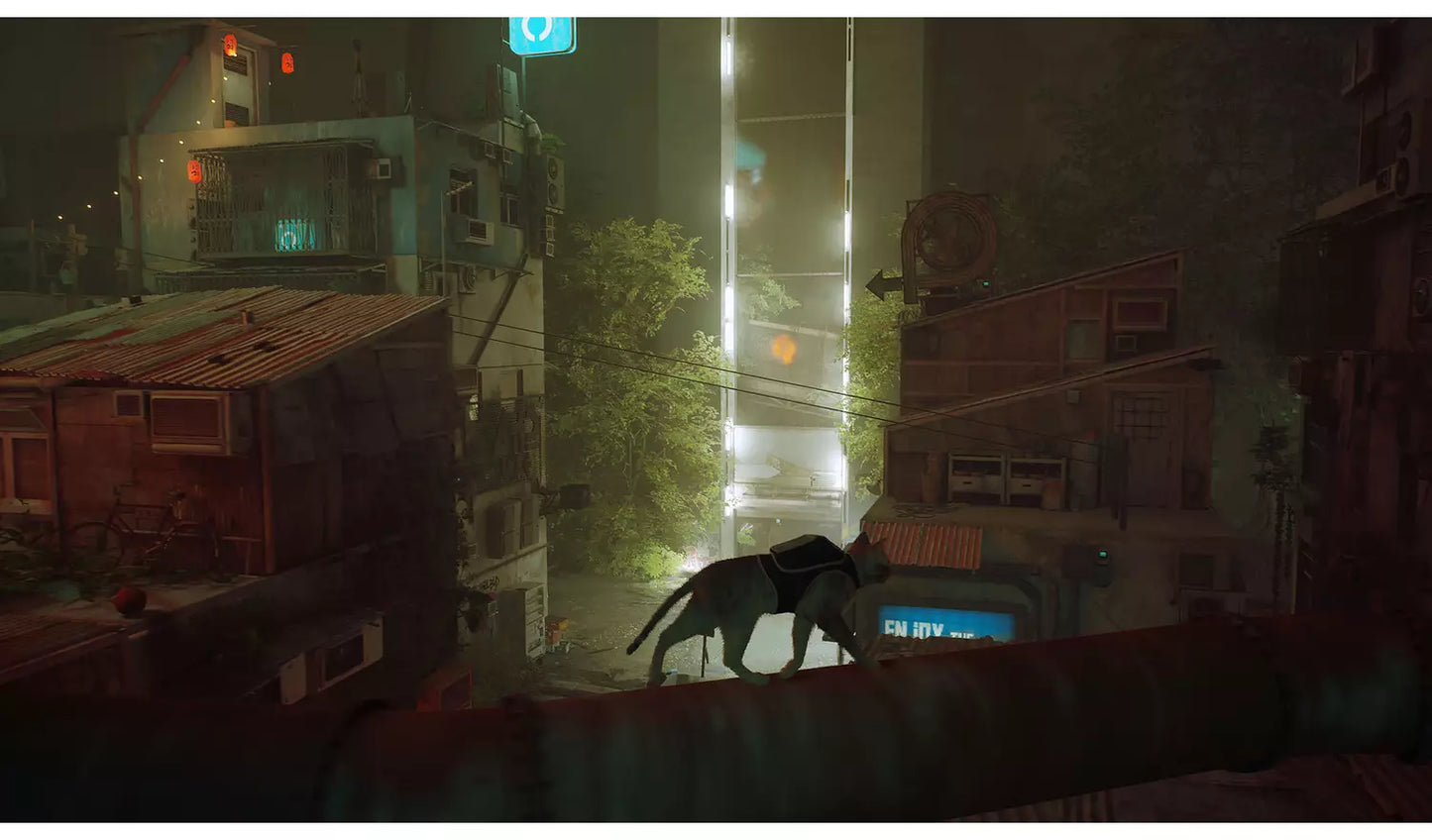 Stray – Nintendo Switch | Physical Game Card | 12+ (New) Nintendo