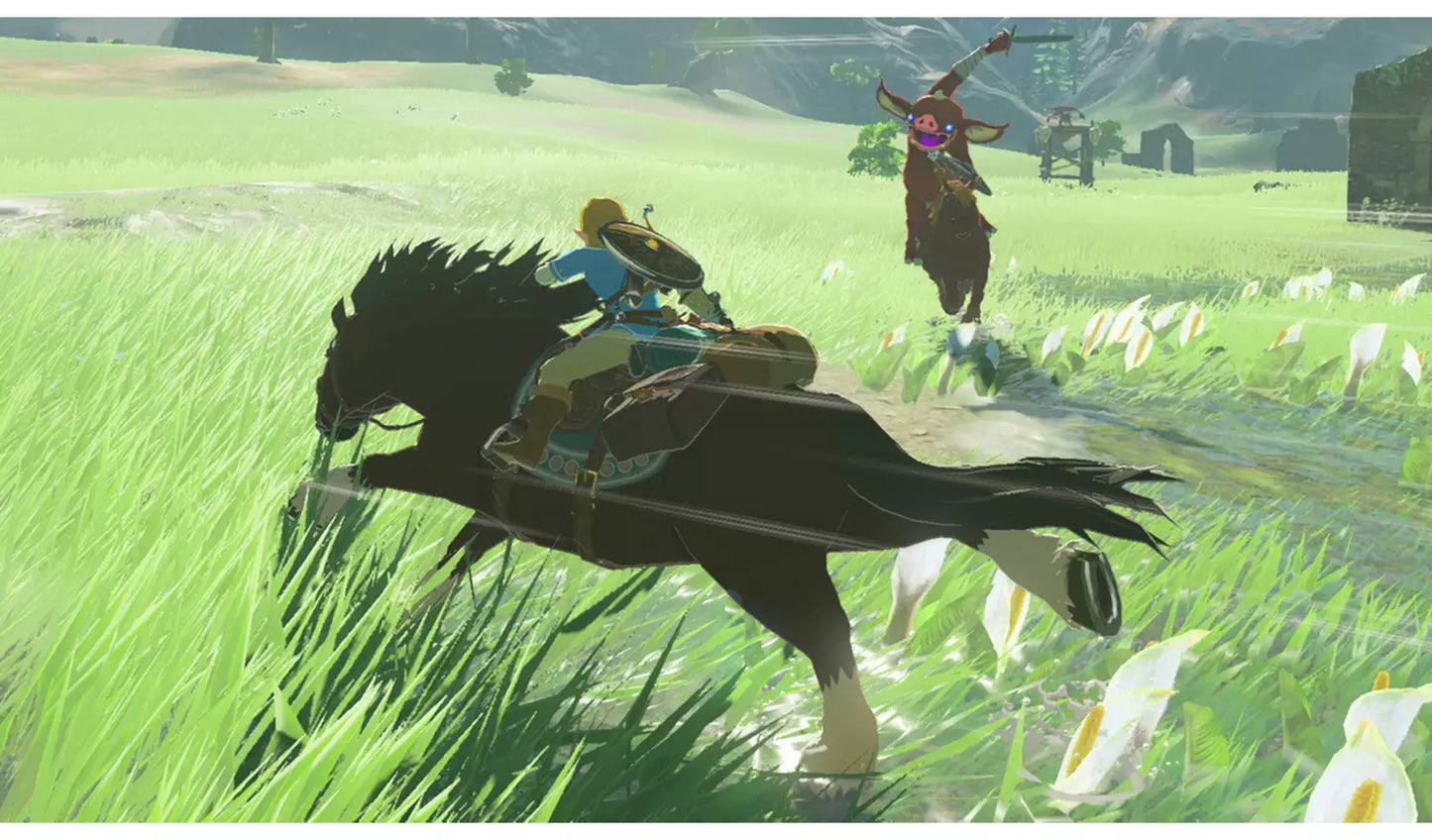 The Legend of Zelda: Breath of the Wild – Nintendo Switch | Physical Game Card | 12+ (New) Nintendo