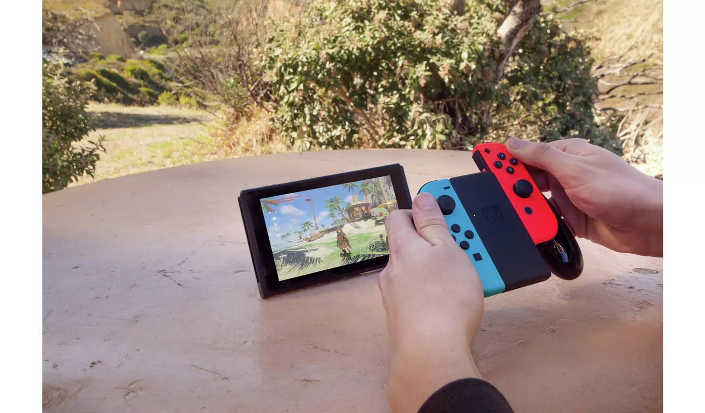 The Legend of Zelda: Breath of the Wild – Nintendo Switch | Physical Game Card | 12+ (New) Nintendo
