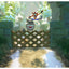 Crash Bandicoot N. Sane Trilogy – Nintendo Switch | Game Card | 7+ (New) Nintendo
