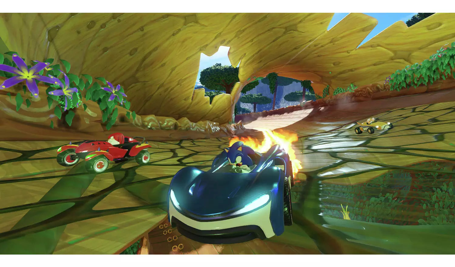 Team Sonic Racing – Nintendo Switch Game | Physical Game Card | 3+ (New) Nintendo