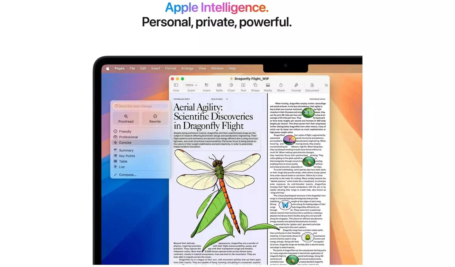 Apple MacBook Air 2025 13.6-inch M4 – 16GB RAM, 256GB SSD, StarLight (New) Apple