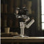 DJI RS 4 Mini Combo (New) DJI