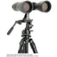 Celestron SkyMaster 12x60 Binoculars (New) Celestron
