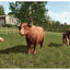 Farming Simulator 25: Highlands Fishing Edition – PS5 | Physical Disc | 3+ (New) PS5