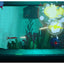 Space Adventure Cobra – The Awakening – Nintendo Switch Game | 12+ (New) Nintendo