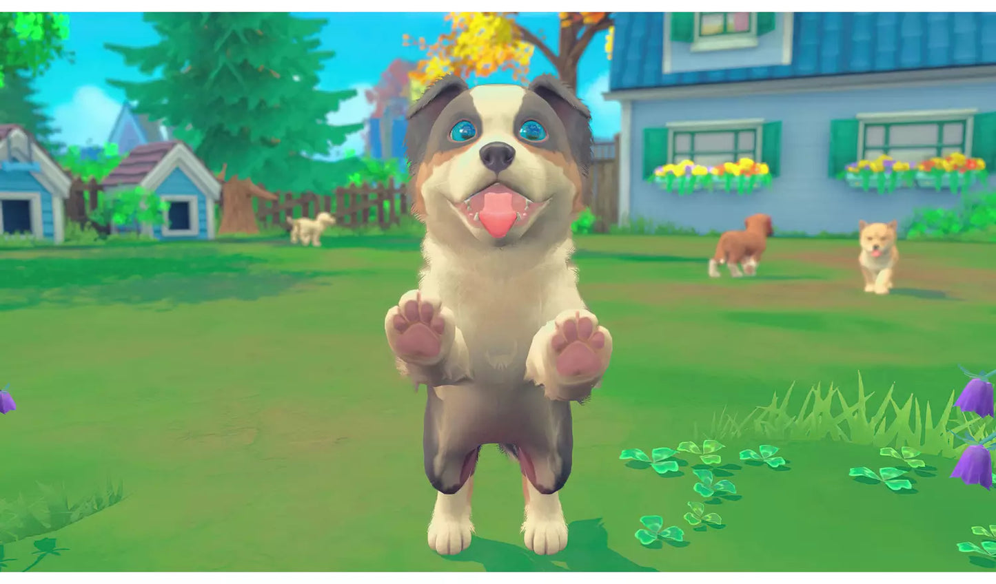 My Universe: Puppies And Kittens – Nintendo Switch | Code in a Box | 3+ (New) Nintendo