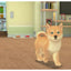 My Universe: Puppies And Kittens – Nintendo Switch | Code in a Box | 3+ (New) Nintendo