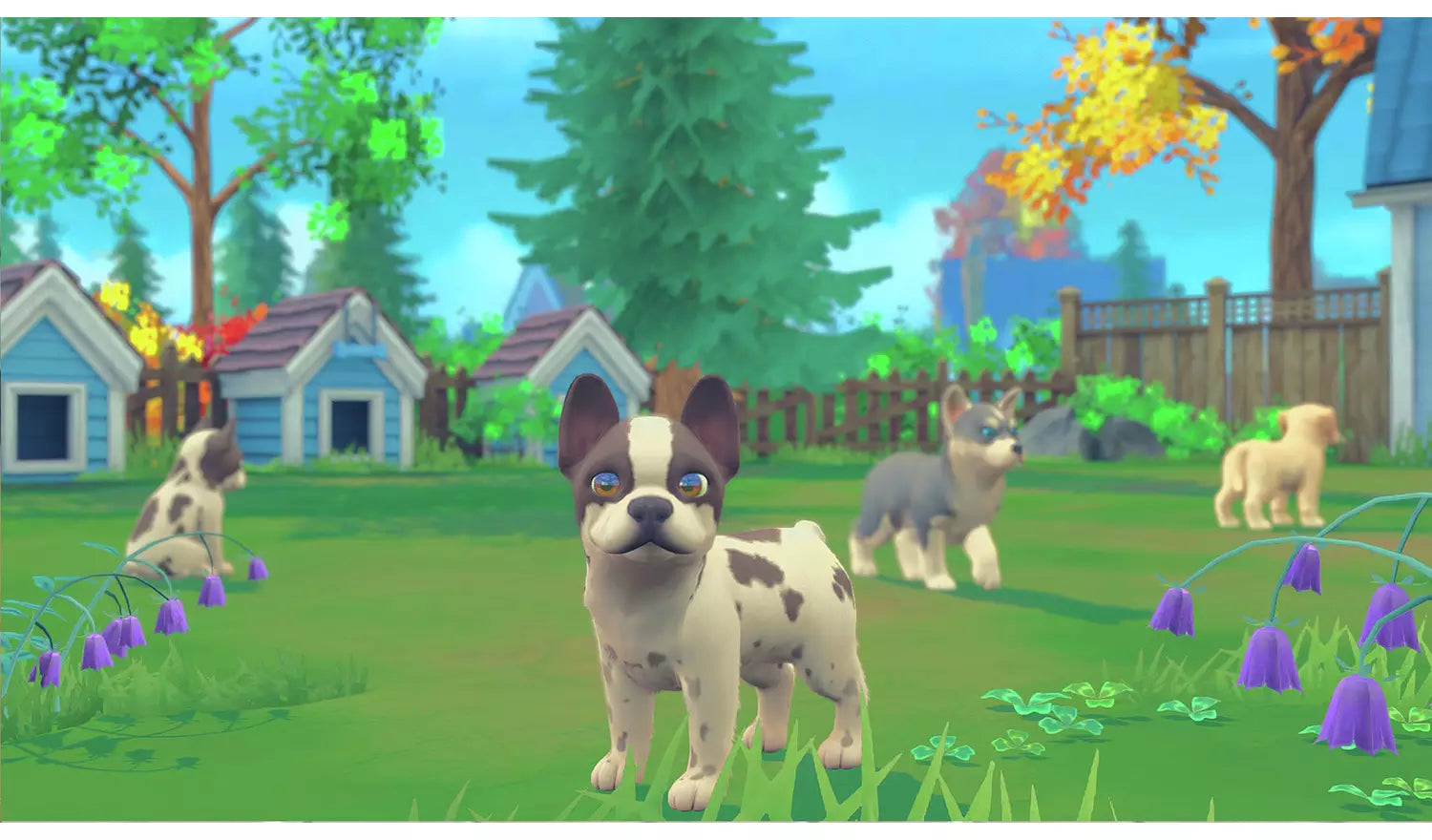 My Universe: Puppies And Kittens – Nintendo Switch | Code in a Box | 3+ (New) Nintendo