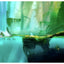 Ori: The Collection – Nintendo Switch Game | 7+ (New) Nintendo
