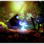 Ori: The Collection – Nintendo Switch Game | 7+ (New) Nintendo