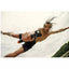 GoPro LIT HERO Action Camera – Black (New) Go Pro