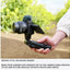Sony Alpha ZV-E10 Mirrorless Vlogging Camera with 16–50mm Lens Kit Sony