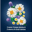 LEGO Botanicals Daisies – Model 11508 | Ages 9+ | 133 Pieces | New LEGO