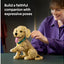 LEGO Icons Golden Retriever Puppy Figure 11384 | Ages 18+ | New LEGO