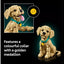 LEGO Icons Golden Retriever Puppy Figure 11384 | Ages 18+ | New LEGO