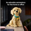 LEGO Icons Golden Retriever Puppy Figure 11384 | Ages 18+ | New LEGO