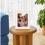 AURA Aspen 12 Inch Digital Photo Frame – Clay with Paper Mat (New) AURA