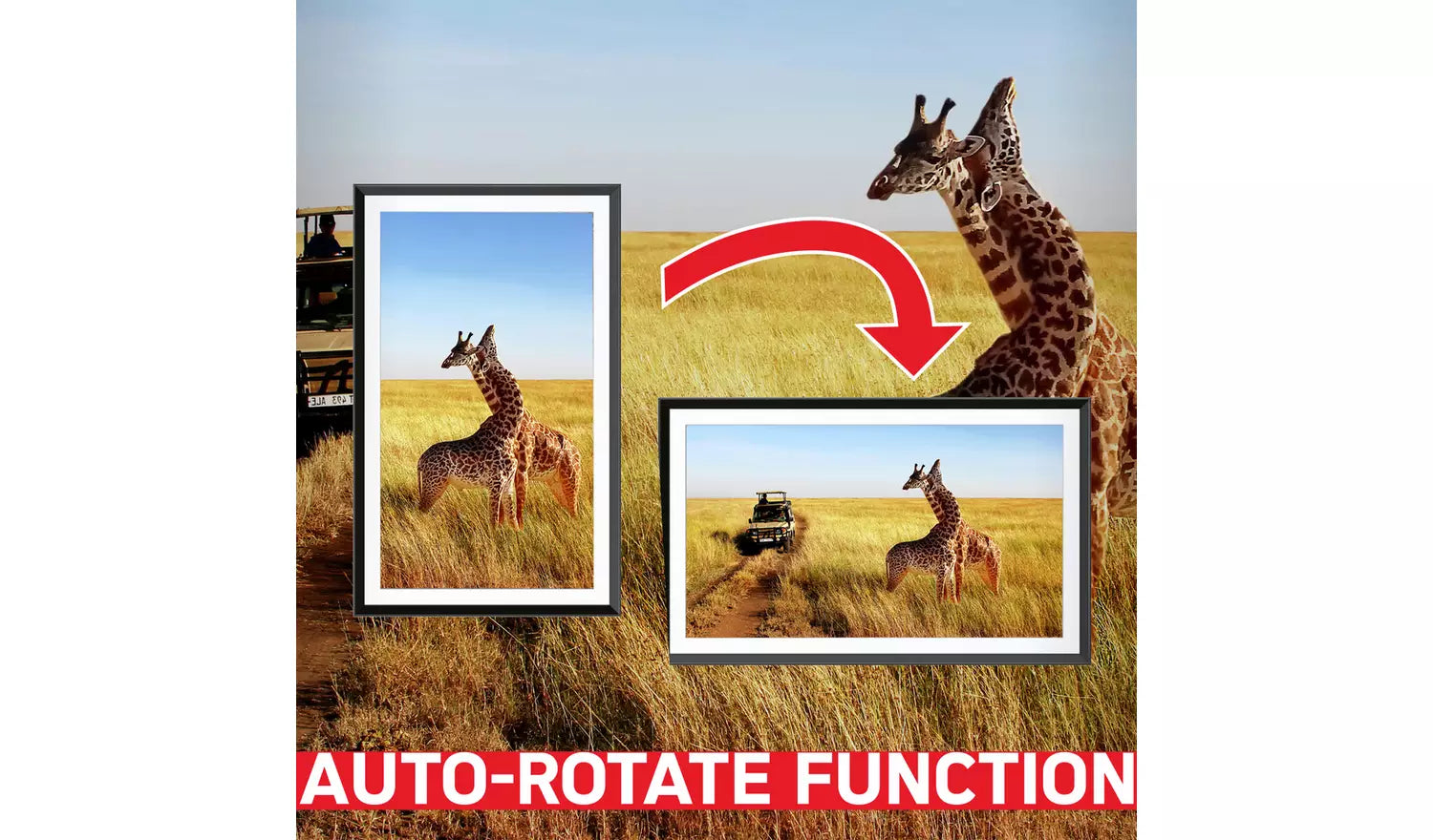 AgfaPhoto Realiview 15.6 Inch WiFi Digital Photo Frame APF1560 (New) AGFA