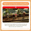Animal Crossing: New Horizons – Nintendo Switch 2 | Physical Game Card | 3+ (New) Nintendo