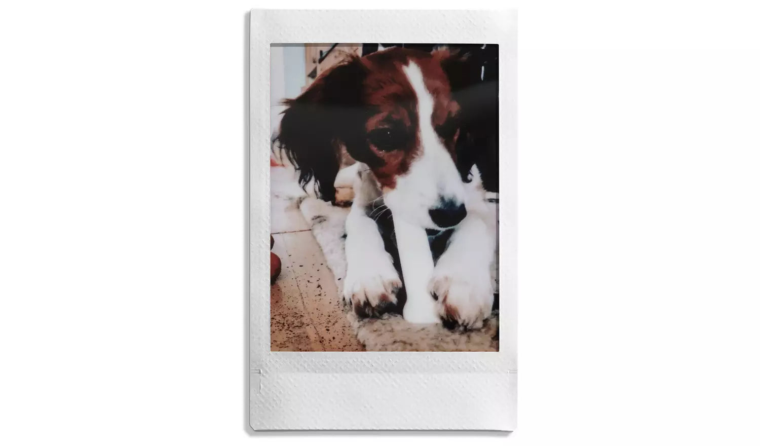 instax Mini Film 20 Shot Pack (New) Fujifilm