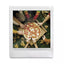 Instax Square Camera Film - 20 Pack (New) Fujifilm