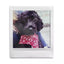 Instax Square Camera Film - 20 Pack (New) Fujifilm