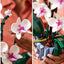 LEGO Icons Orchid Plant & Flowers Set for Adults | Ages 18+ | Model 10311 | NEW LEGO