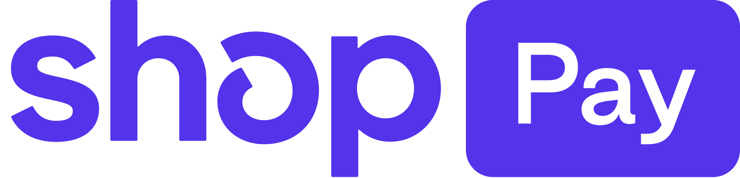 Shop Pay Logo